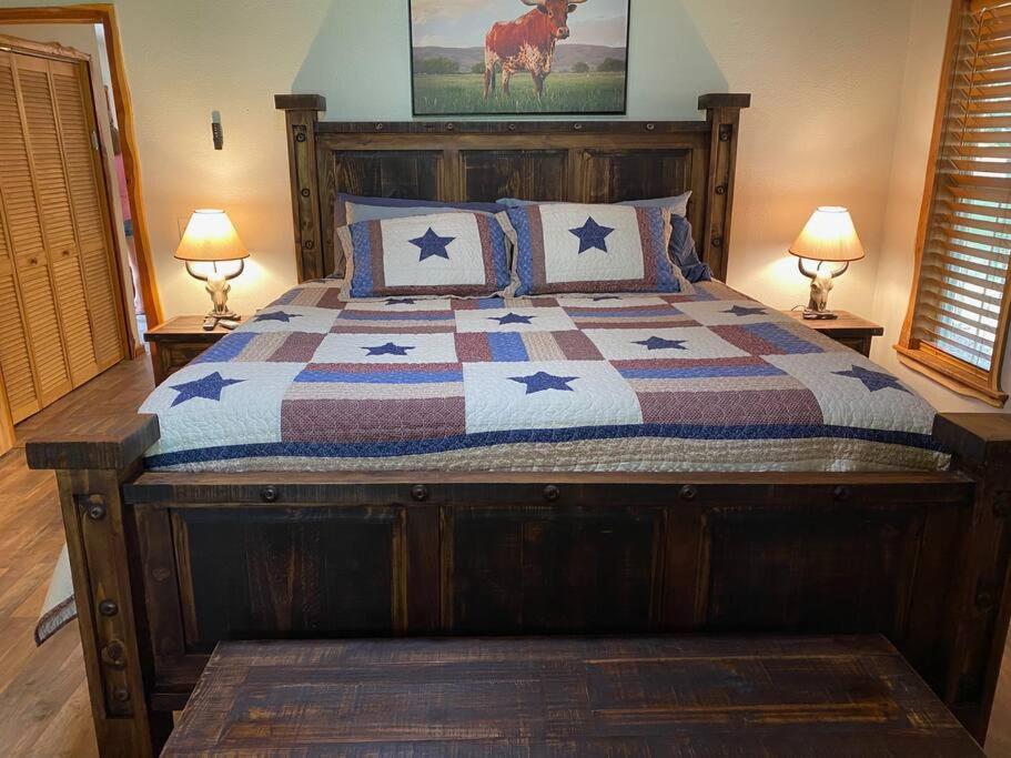 Beautiful Longhorn At Texoma Gordonville Kingston